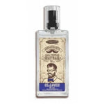 Carregar imagem na Galeria, AROMATIZANTE NATUAR MEN CLASSIC 45ML CENTRALSUL